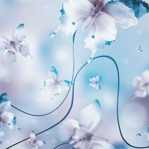 Meet your Posher, Michele